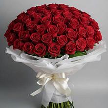 Букет 101 Красная роза Блэк Мэджик в Смолино