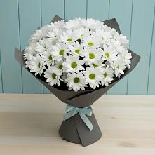 Букет цветов из:  Хризантемы #REPLACE_PRED# Смолино
