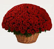 Премиум букет из: Розы в Смолино